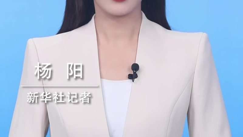 构建高效人工智能应用创新平台的规格解析